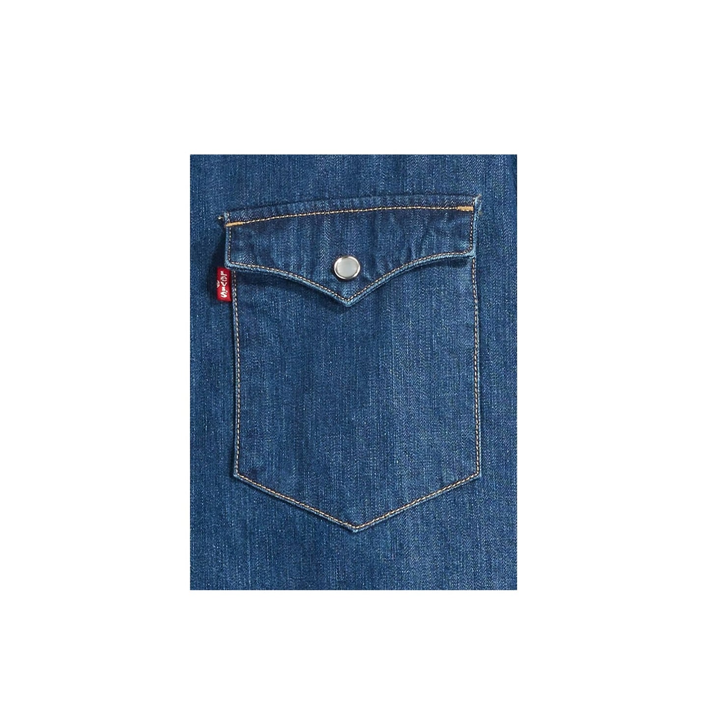 Levi's Barstow Western Standard Lower Haight