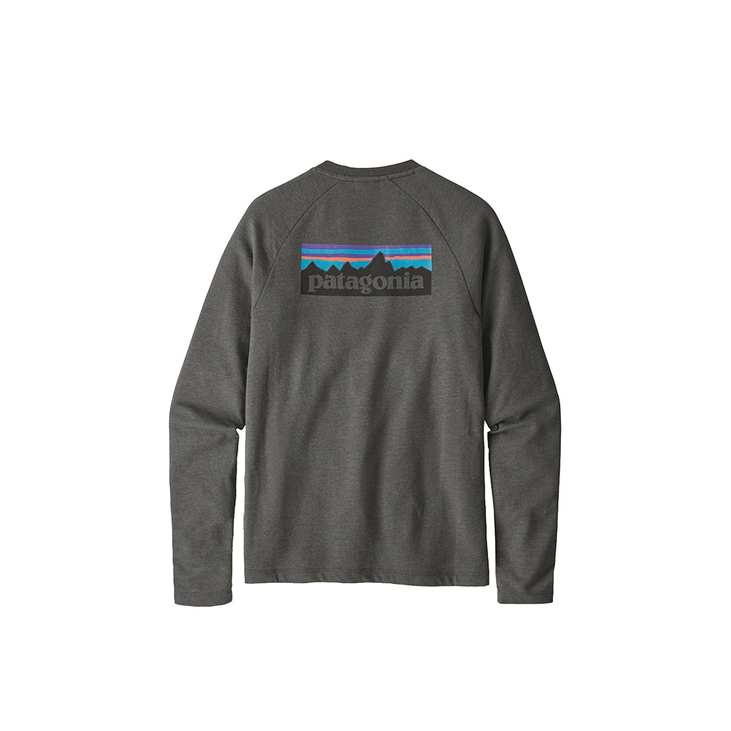 Patagonia M'S P-6 Logo LW Crew