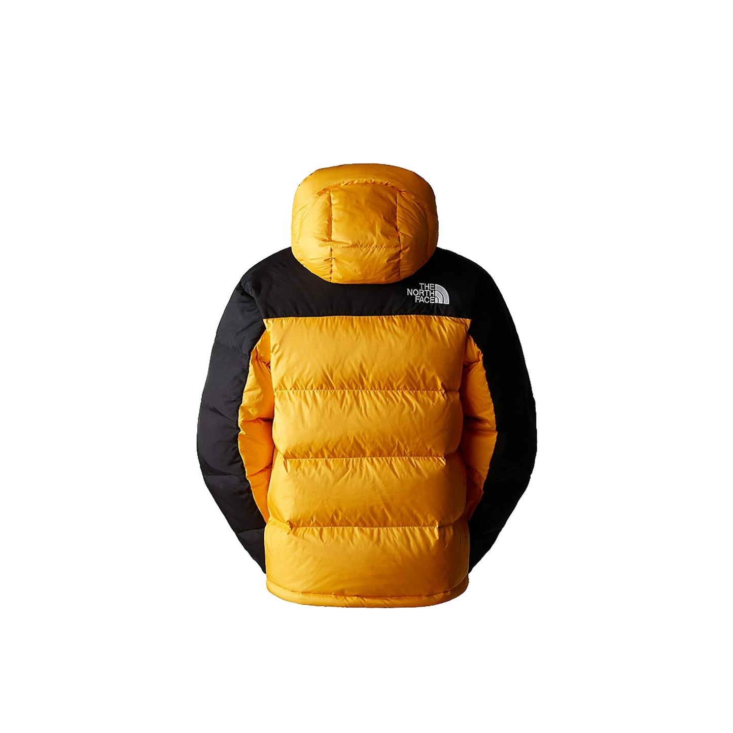 The North Face Men's Hmlyn Down Parka