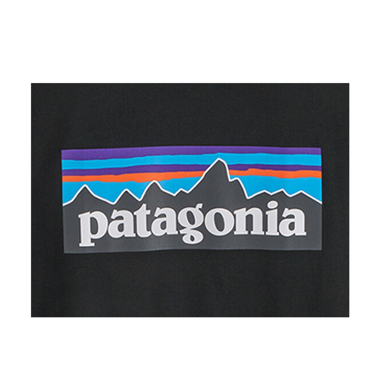 Patagonia M's P-6 Logo Responsibili-Tee