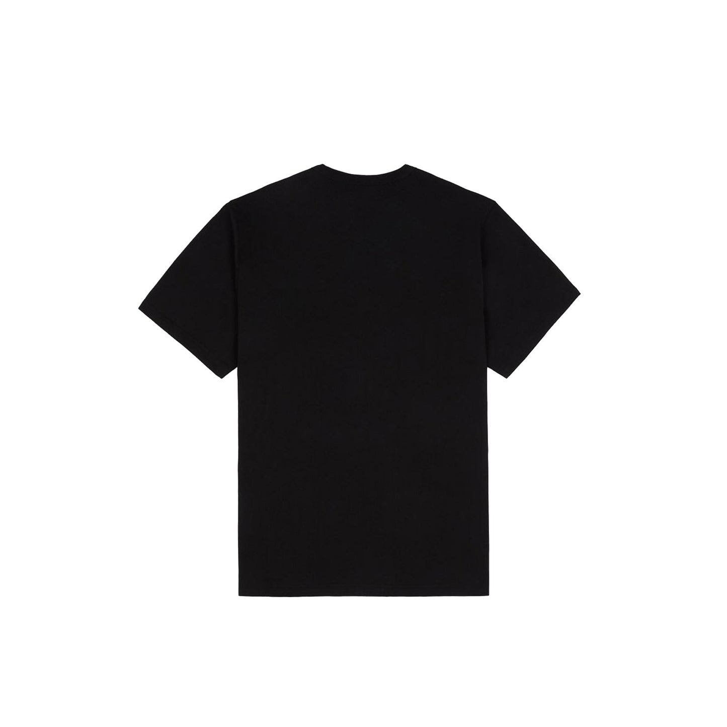 Dickies Aitkin Tee