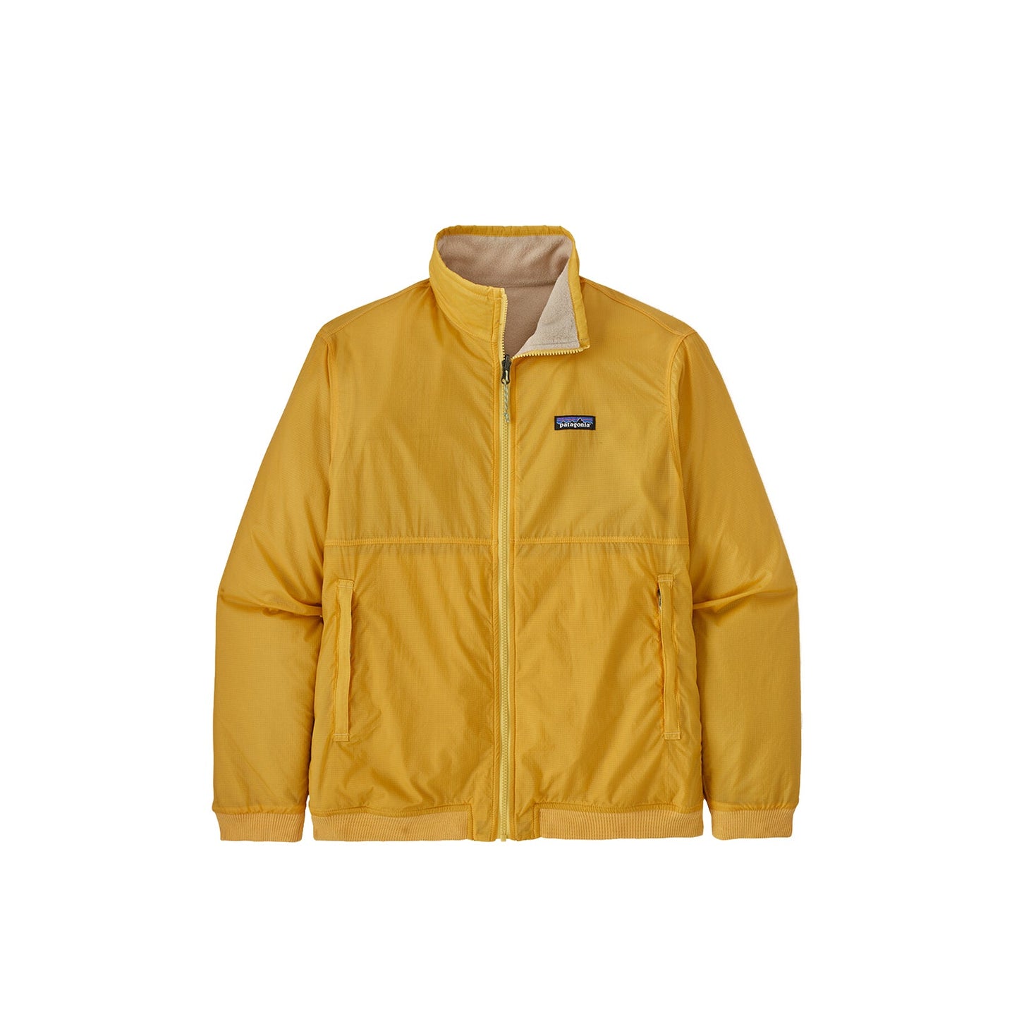 Patagonia M's Reversibile Shelled Microdini
